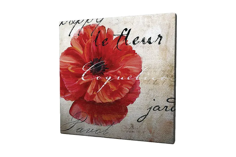 Lerretsbilde 45x45 cm - Rød valmue med håndskrevet tekst i bakgrunnen, Rød / Beige / Svart