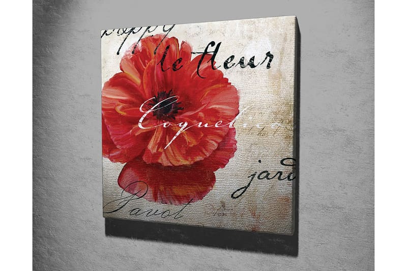 Lerretsbilde 45x45 cm - Rød valmue med håndskrevet tekst i bakgrunnen - Rød / Beige / Svart - Innredning - Bilder & kunst - Lerretsbilder