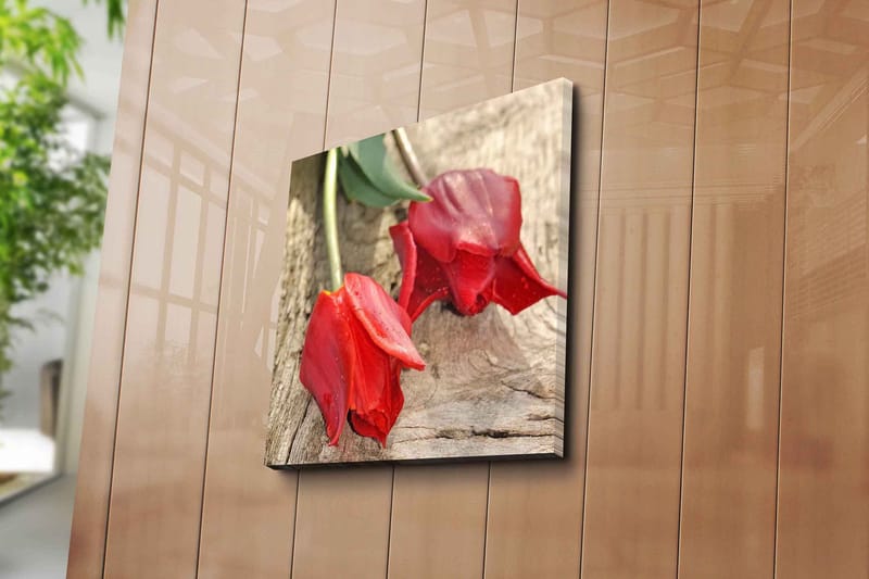 Lerretsbilde 45x45 cm - Røde tulipaner på en treflate - Rød / Grønn - Innredning - Bilder & kunst - Lerretsbilder