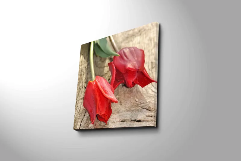 Lerretsbilde 45x45 cm - Røde tulipaner på en treflate - Rød / Grønn - Innredning - Bilder & kunst - Lerretsbilder