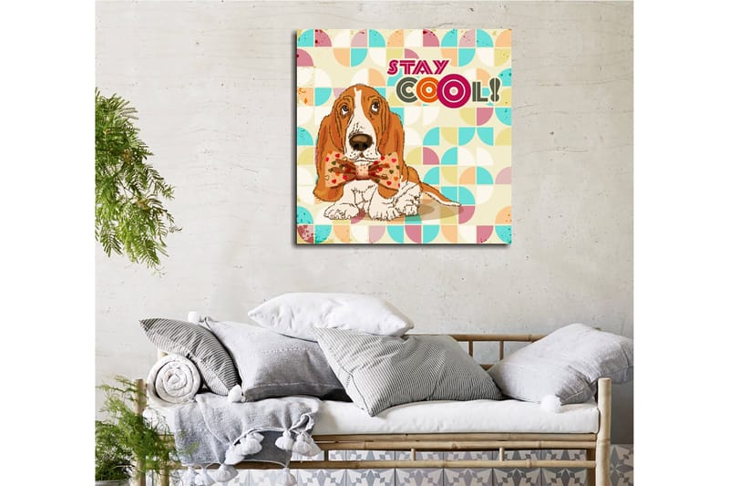 Lerretsbilde 45x45 cm - Søt bassethund med en fin sløyfe - Oransje / Blå / Beige - Innredning - Bilder & kunst - Lerretsbilder