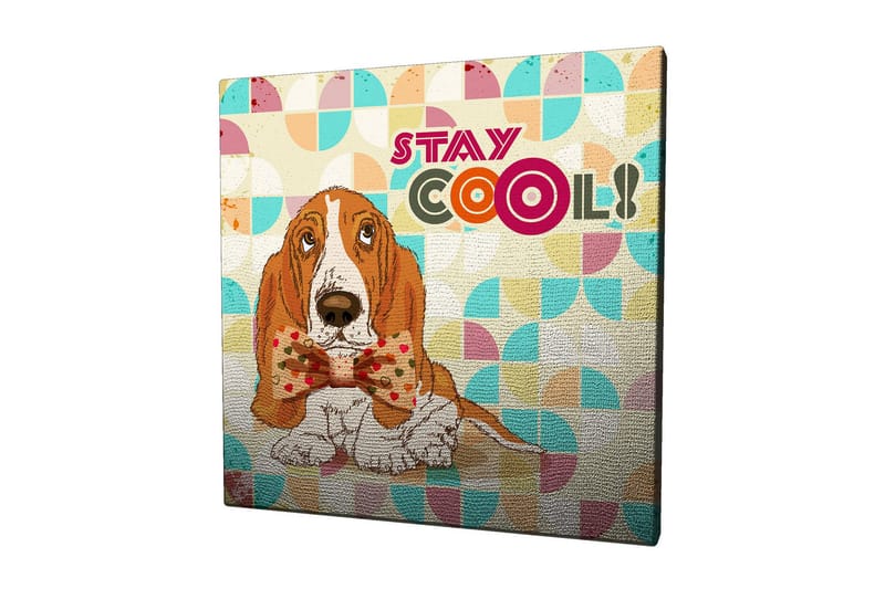 Lerretsbilde 45x45 cm - Søt bassethund med en fin sløyfe, Oransje / Blå / Beige