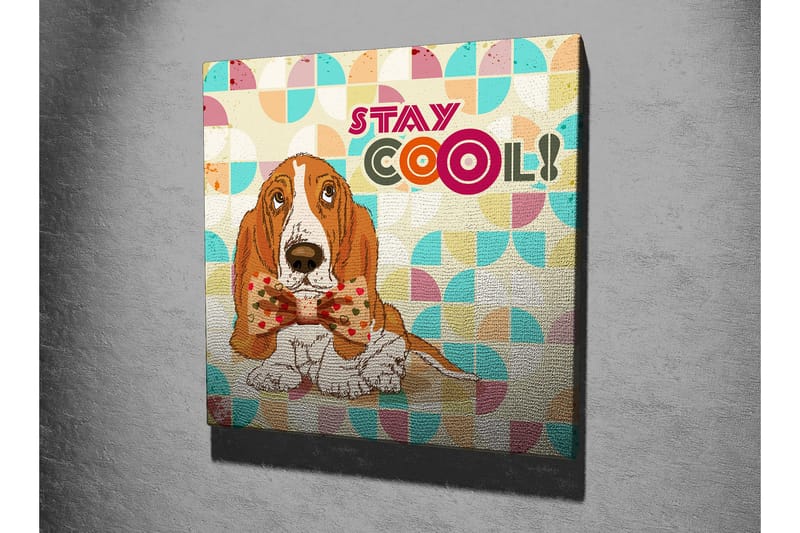 Lerretsbilde 45x45 cm - Søt bassethund med en fin sløyfe - Oransje / Blå / Beige - Innredning - Bilder & kunst - Lerretsbilder