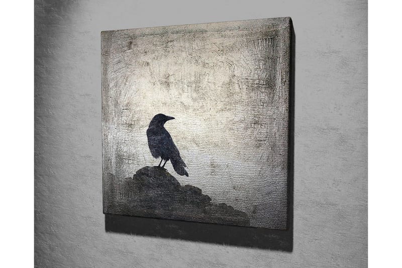 Lerretsbilde 45x45 cm - Silhuett av en kråke på en stein mot en dempet bakgrunn - Svart / Grå / Hvit - Innredning - Bilder & kunst - Lerretsbilder