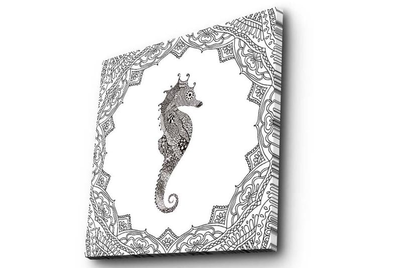 Lerretsbilde 45x45 cm - Sjødrage i detaljert svart-hvitt-stil - Svart / Hvit - Innredning - Bilder & kunst - Lerretsbilder