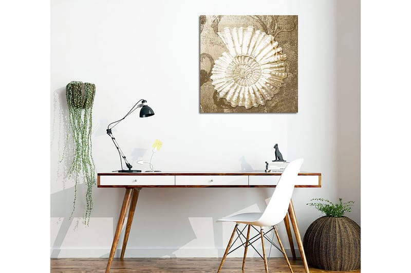 Lerretsbilde 45x45 cm - Skjell med detaljert struktur på en myk bakgrunn - Hvit / Beige / Grå - Innredning - Bilder & kunst - Lerretsbilder