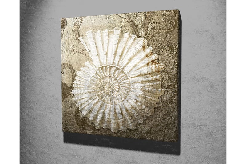 Lerretsbilde 45x45 cm - Skjell med detaljert struktur på en myk bakgrunn - Hvit / Beige / Grå - Innredning - Bilder & kunst - Lerretsbilder