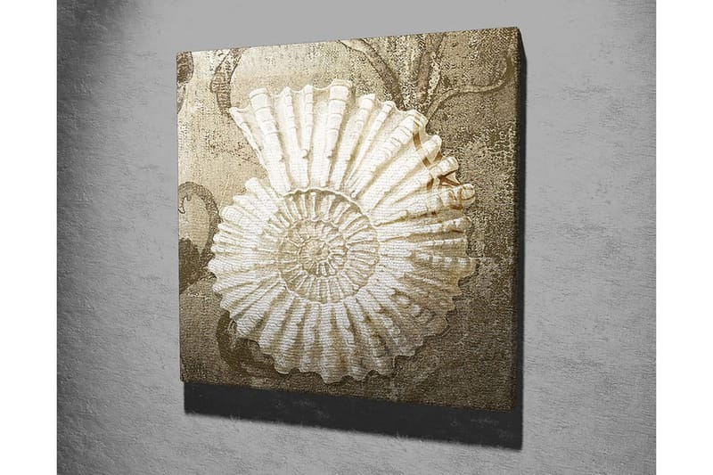 Lerretsbilde 45x45 cm - Skjell med detaljert struktur på en myk bakgrunn - Hvit / Beige / Grå - Innredning - Bilder & kunst - Lerretsbilder
