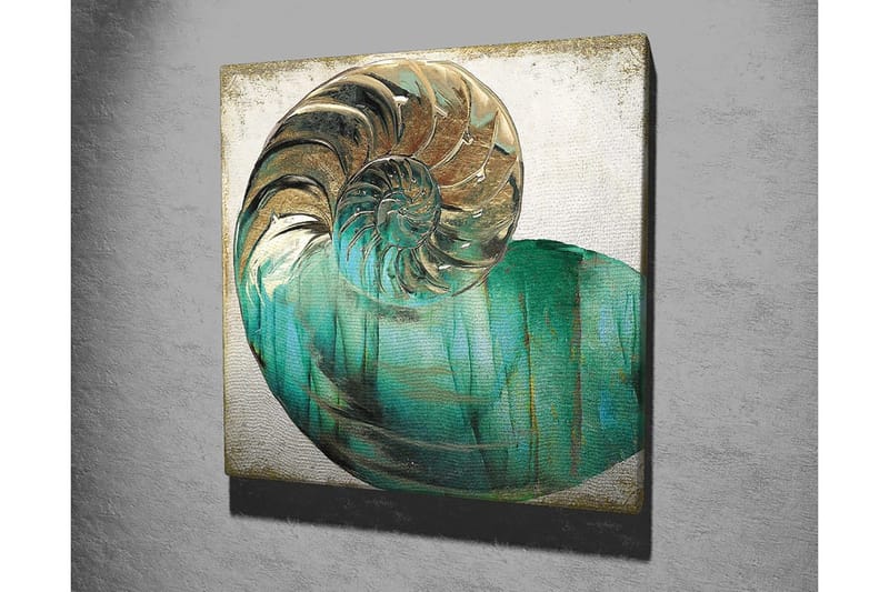 Lerretsbilde 45x45 cm - Skjell med spiralstruktur og turkise fargetoner - Turkis / Gull / Hvit - Innredning - Bilder & kunst - Lerretsbilder