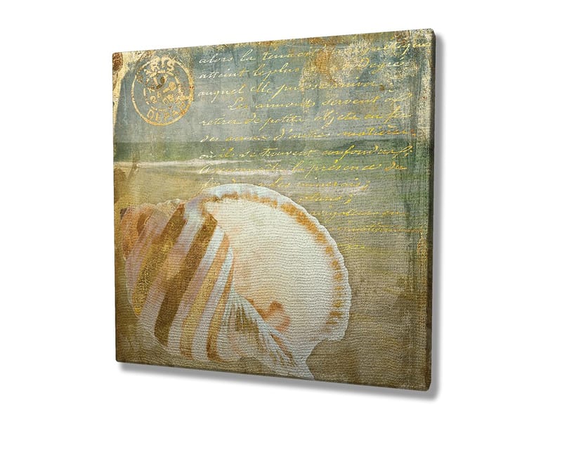 Lerretsbilde 45x45 cm - Skjell med subtile detaljer og teksturer - Beige / Blå / Grønn - Innredning - Bilder & kunst - Lerretsbilder