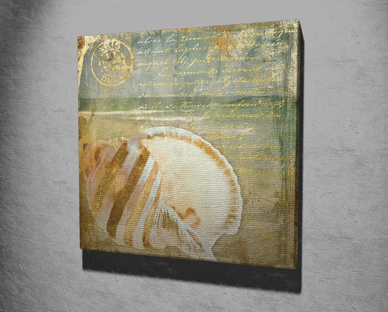 Lerretsbilde 45x45 cm - Skjell med subtile detaljer og teksturer - Beige / Blå / Grønn - Innredning - Bilder & kunst - Lerretsbilder