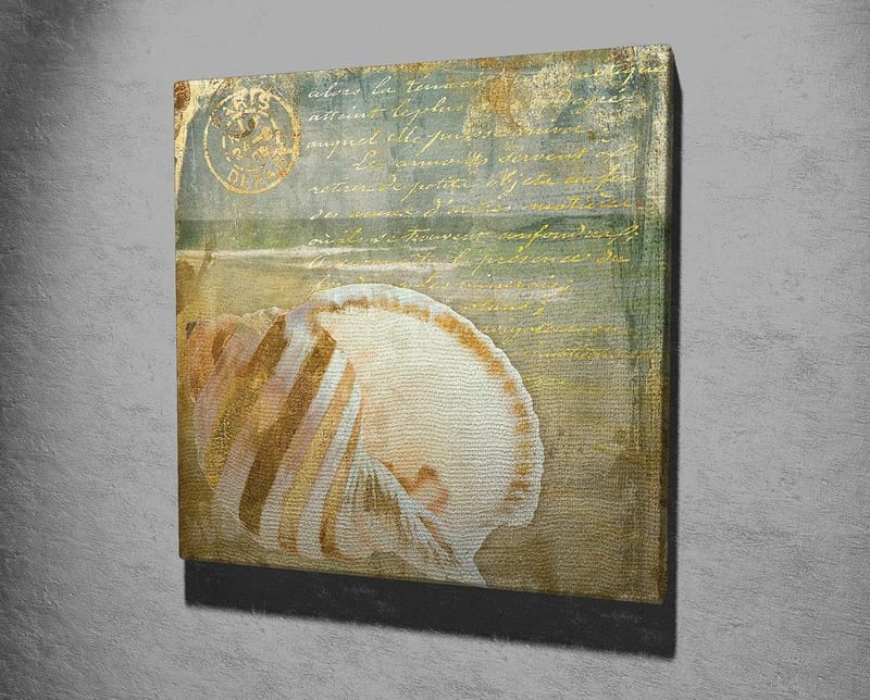 Lerretsbilde 45x45 cm - Skjell med subtile detaljer og teksturer - Beige / Blå / Grønn - Innredning - Bilder & kunst - Lerretsbilder