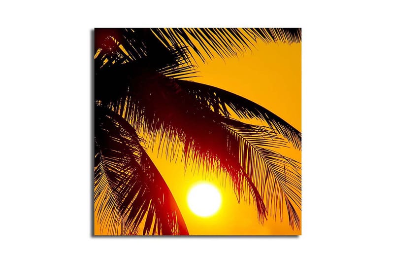 Lerretsbilde 45x45 cm - Solnedgang bak palmer, Gul / Svart