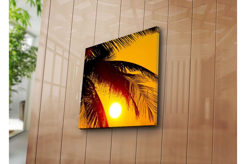 Lerretsbilde 45x45 cm - Solnedgang bak palmer - Gul / Svart - Innredning - Bilder & kunst - Lerretsbilder