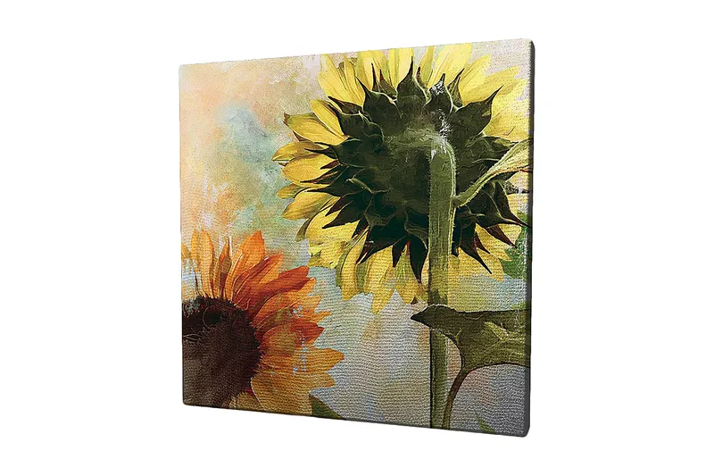 Lerretsbilde 45x45 cm - Solsikker i sterke farger, Gul / Oransje / Grønn