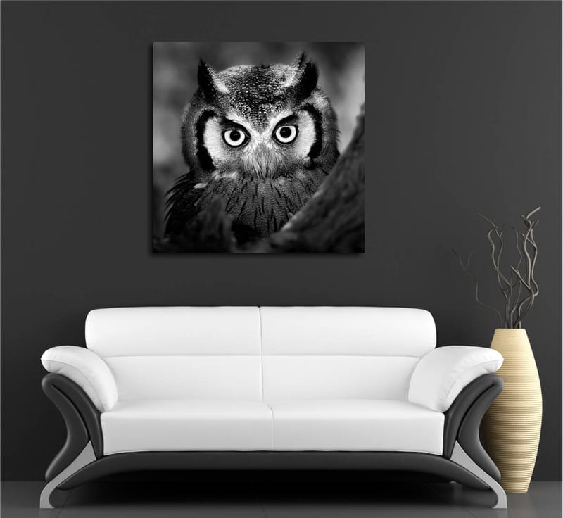 Lerretsbilde 45x45 cm - Svart-hvitt nærbilde av ugle med frostsprutede fjær og gjennomtrengende blikk - Svart / Hvit - Innredning - Bilder & kunst - Lerretsbilder