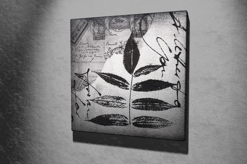 Lerretsbilde 45x45 cm - Svart silhuett av blader mot grå bakgrunn med håndskrevet tekst og poststempler - Svart / Grå - Innredning - Bilder & kunst - Lerretsbilder