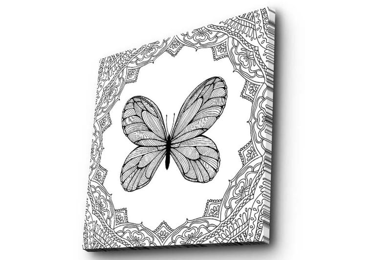 Lerretsbilde 45x45 cm - Svart sommerfugl med detaljert mønsterramme - Svart / Hvit - Innredning - Bilder & kunst - Lerretsbilder