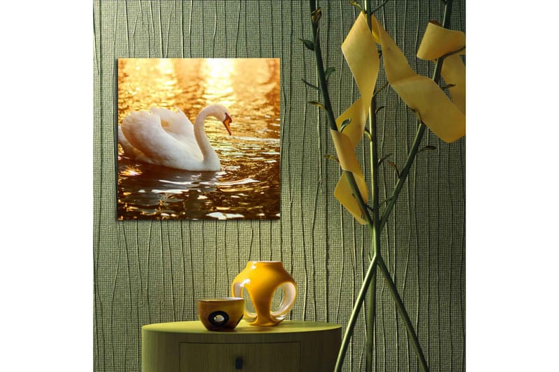 Lerretsbilde 45x45 cm - Svart svane som svømmer i glitrende vann - Hvit / Gull / Oransje - Innredning - Bilder & kunst - Lerretsbilder