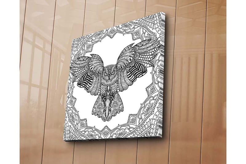 Lerretsbilde 45x45 cm - Ugle i detaljert, svart-hvitt-stil, Svart / Hvit