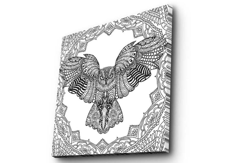 Lerretsbilde 45x45 cm - Ugle i detaljert, svart-hvitt-stil - Svart / Hvit - Innredning - Bilder & kunst - Lerretsbilder