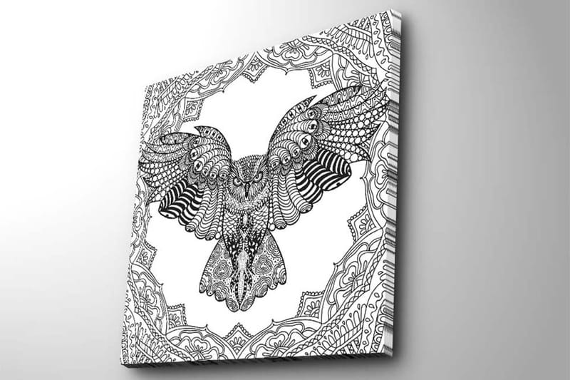 Lerretsbilde 45x45 cm - Ugle i detaljert, svart-hvitt-stil - Svart / Hvit - Innredning - Bilder & kunst - Lerretsbilder