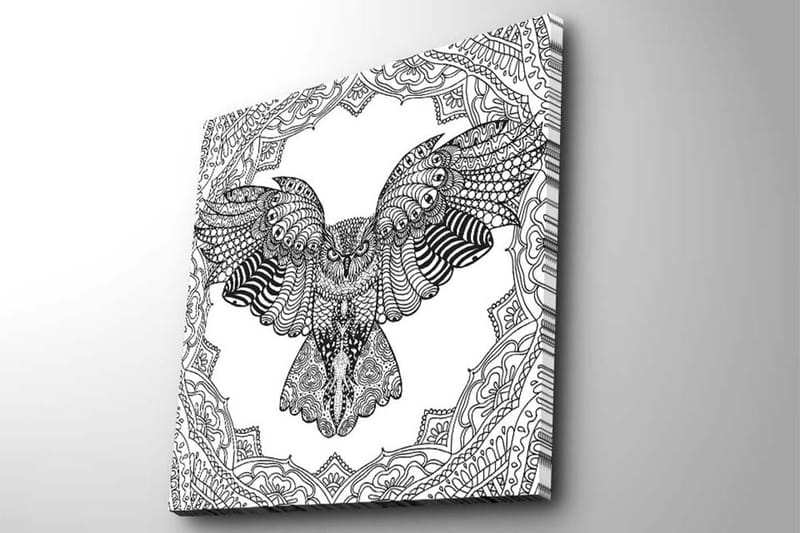 Lerretsbilde 45x45 cm - Ugle i detaljert, svart-hvitt-stil - Svart / Hvit - Innredning - Bilder & kunst - Lerretsbilder