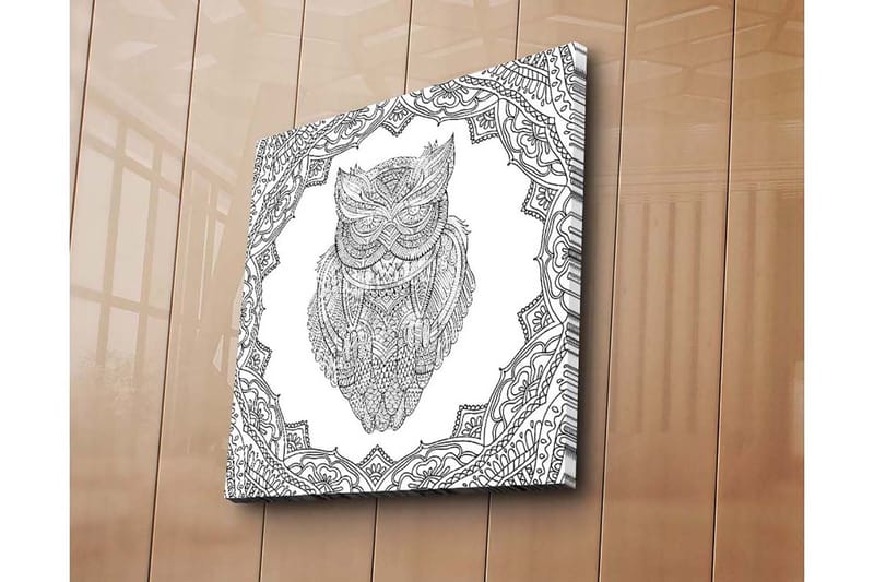 Lerretsbilde 45x45 cm - Ugle i detaljert strektegning omgitt av ornamentale mønstre - Svart / Hvit - Innredning - Bilder & kunst - Lerretsbilder
