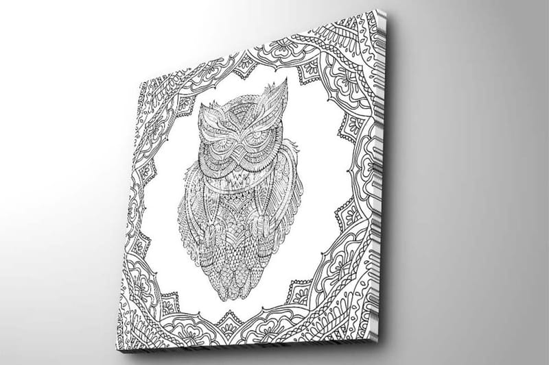 Lerretsbilde 45x45 cm - Ugle i detaljert strektegning omgitt av ornamentale mønstre - Svart / Hvit - Innredning - Bilder & kunst - Lerretsbilder