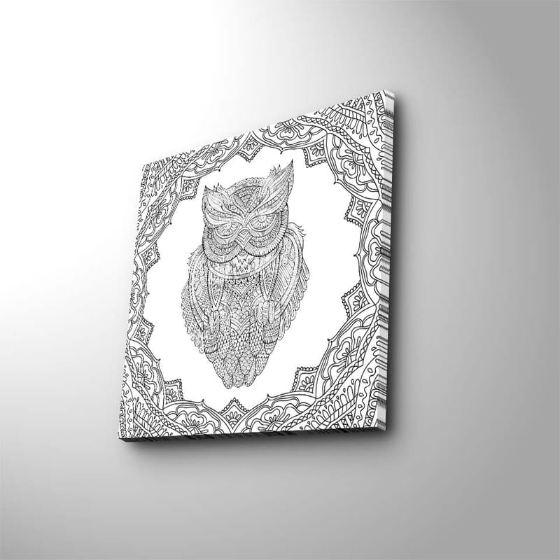 Lerretsbilde 45x45 cm - Ugle i detaljert strektegning omgitt av ornamentale mønstre, Svart / Hvit