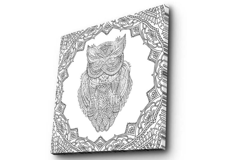 Lerretsbilde 45x45 cm - Ugle i detaljert strektegning omgitt av ornamentale mønstre - Svart / Hvit - Innredning - Bilder & kunst - Lerretsbilder