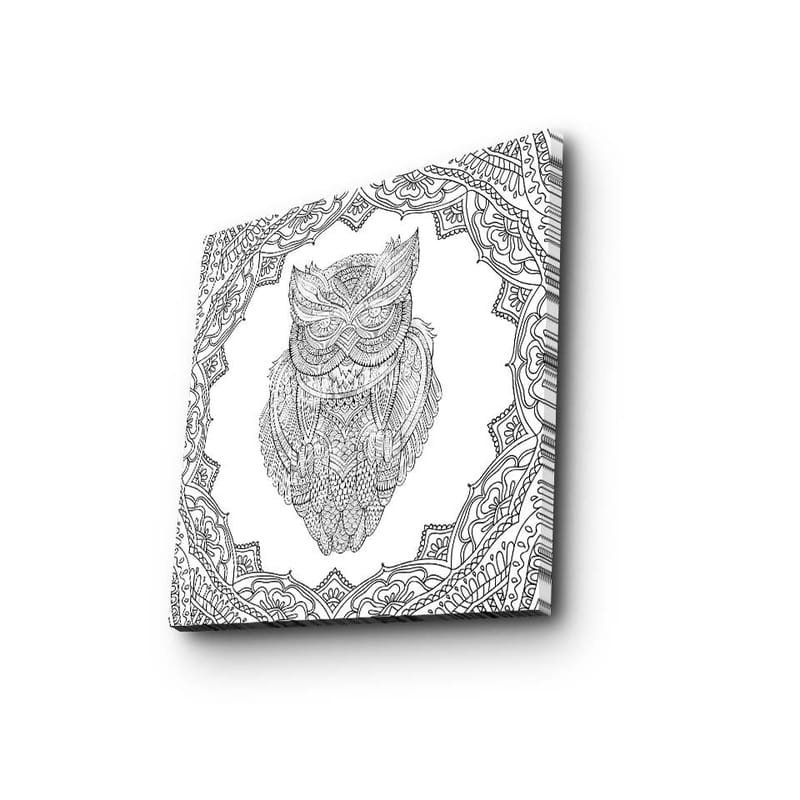 Lerretsbilde 45x45 cm - Ugle i detaljert strektegning omgitt av ornamentale mønstre - Svart / Hvit - Innredning - Bilder & kunst - Lerretsbilder