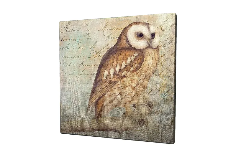 Lerretsbilde 45x45 cm - Ugle med detaljert fjærdrakt, Beige / Brun / Lys blå