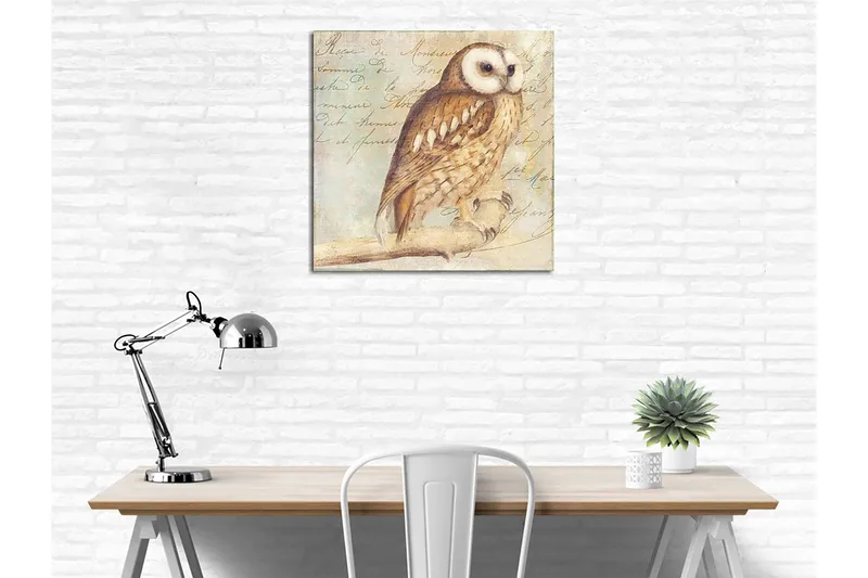 Lerretsbilde 45x45 cm - Ugle med detaljert fjærdrakt - Beige / Brun / Lys blå - Innredning - Bilder & kunst - Lerretsbilder