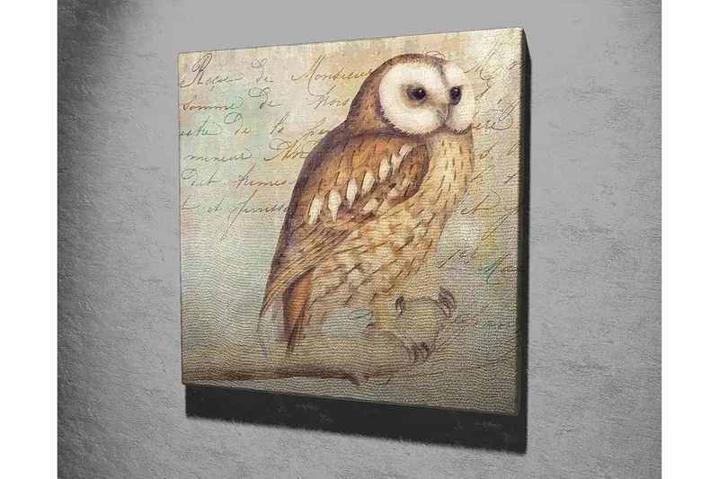 Lerretsbilde 45x45 cm - Ugle med detaljert fjærdrakt - Beige / Brun / Lys blå - Innredning - Bilder & kunst - Lerretsbilder