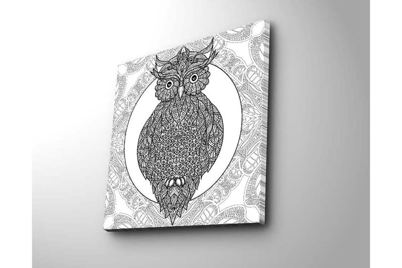Lerretsbilde 45x45 cm - Ugle med intrikate mønstre i svart-hvitt - Svart / Hvit - Innredning - Bilder & kunst - Lerretsbilder