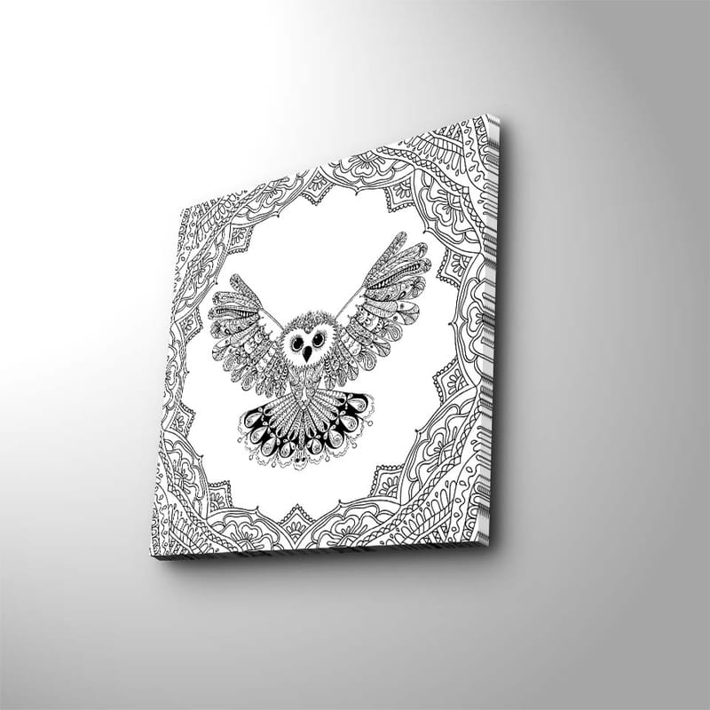 Lerretsbilde 45x45 cm - Ugle med utstrakte vinger i en detaljert ramme - Svart / Hvit - Innredning - Bilder & kunst - Lerretsbilder