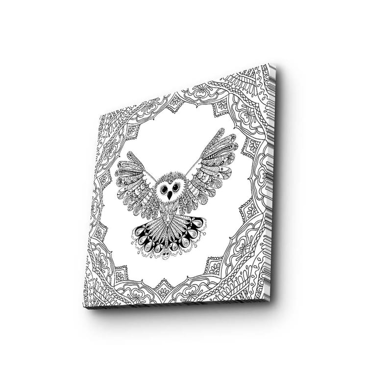 Lerretsbilde 45x45 cm - Ugle med utstrakte vinger i en detaljert ramme - Svart / Hvit - Innredning - Bilder & kunst - Lerretsbilder