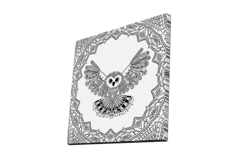 Lerretsbilde 45x45 cm - Ugle med utstrakte vinger i en detaljert ramme, Svart / Hvit
