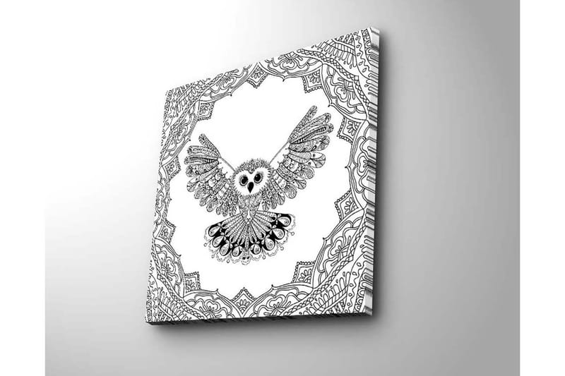 Lerretsbilde 45x45 cm - Ugle med utstrakte vinger i en detaljert ramme - Svart / Hvit - Innredning - Bilder & kunst - Lerretsbilder