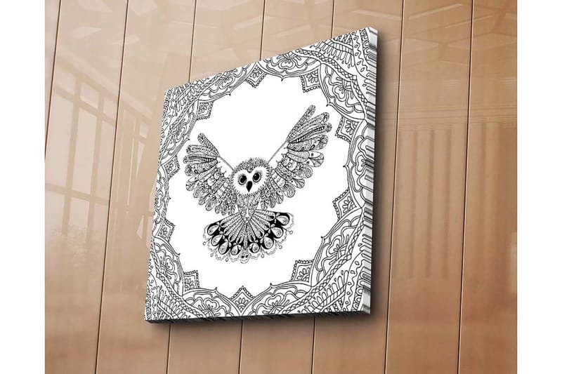 Lerretsbilde 45x45 cm - Ugle med utstrakte vinger i en detaljert ramme - Svart / Hvit - Innredning - Bilder & kunst - Lerretsbilder