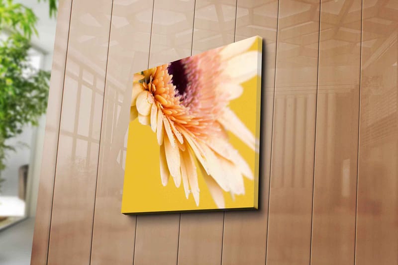 Lerretsbilde 45x45 cm - Vakker blomst med fargerike kronblader og vanndråper - Lys rosa / Gul / Lilla - Innredning - Bilder & kunst - Lerretsbilder