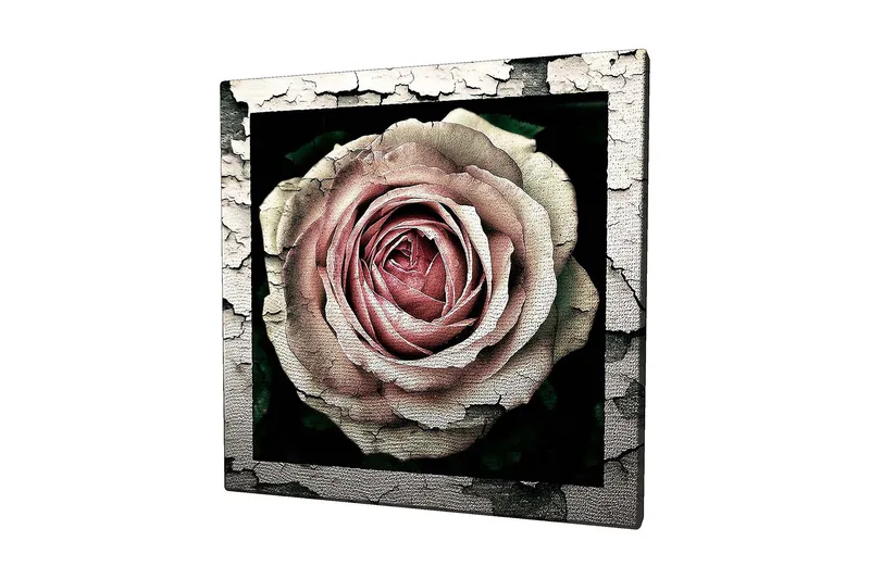 Lerretsbilde 45x45 cm - Vakker rose med detaljert tekstur og fargenyanser - Rosa / Grå / Svart - Innredning - Bilder & kunst - Lerretsbilder