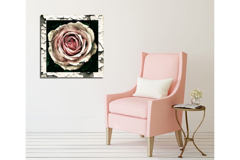 Lerretsbilde 45x45 cm - Vakker rose med detaljert tekstur og fargenyanser - Rosa / Grå / Svart - Innredning - Bilder & kunst - Lerretsbilder