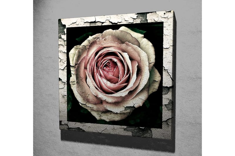 Lerretsbilde 45x45 cm - Vakker rose med detaljert tekstur og fargenyanser - Rosa / Grå / Svart - Innredning - Bilder & kunst - Lerretsbilder