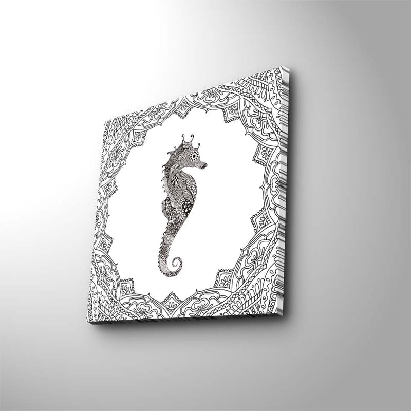Lerretsbilde 45x45 cm - Vakker sjøhest i detaljert ramme - Svart / Hvit - Innredning - Bilder & kunst - Lerretsbilder