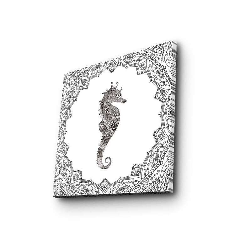 Lerretsbilde 45x45 cm - Vakker sjøhest i detaljert ramme, Svart / Hvit