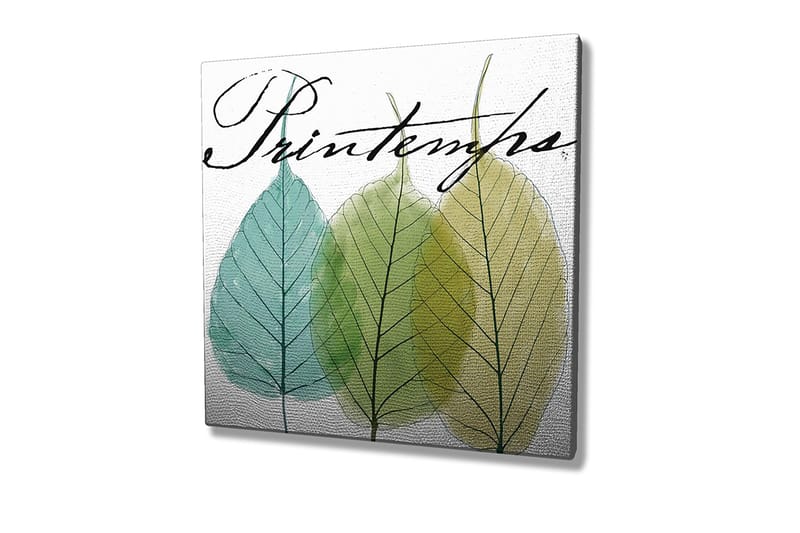 Lerretsbilde 45x45 cm - Vakre blader i forskjellige grønnfarger - Grønn / Lys blå / Gulgrønn - Innredning - Bilder & kunst - Lerretsbilder