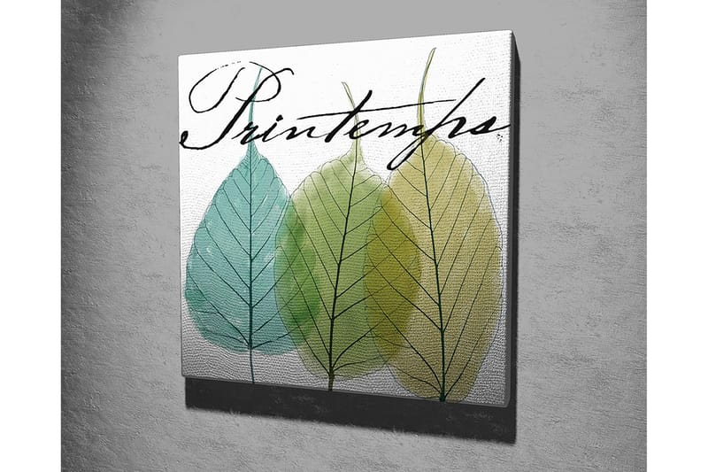 Lerretsbilde 45x45 cm - Vakre blader i forskjellige grønnfarger - Grønn / Lys blå / Gulgrønn - Innredning - Bilder & kunst - Lerretsbilder