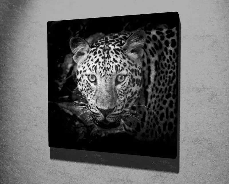 Lerretsbilde 45x45 cm - Portrett av en leopard med intense øyne - Svart / Hvit / Grå - Innredning - Bilder & kunst - Lerretsbilder